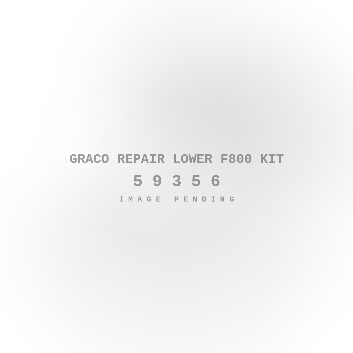 Graco Repair Lower F800 Kit