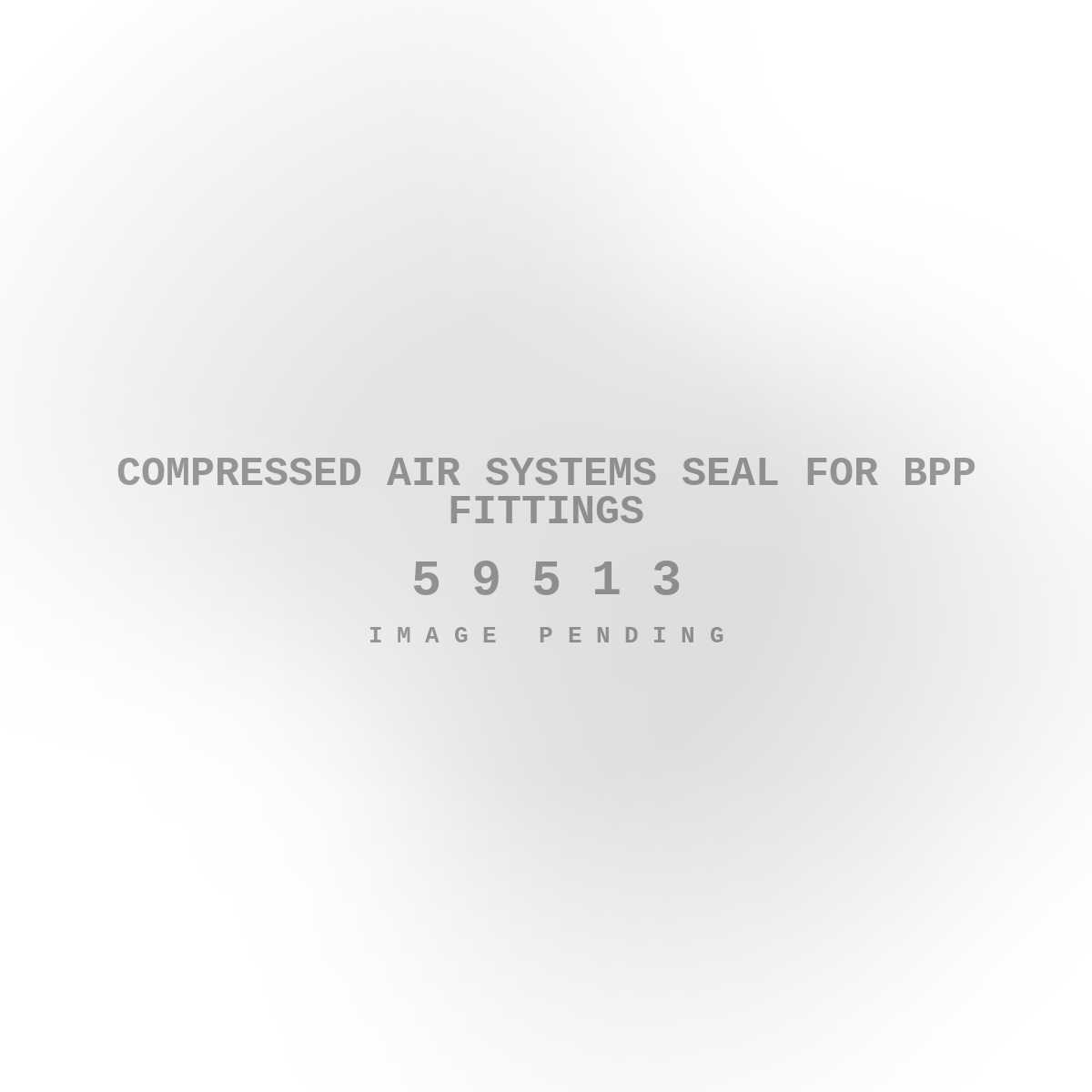 Compressed Air Systems Seal for Bpp Fittings