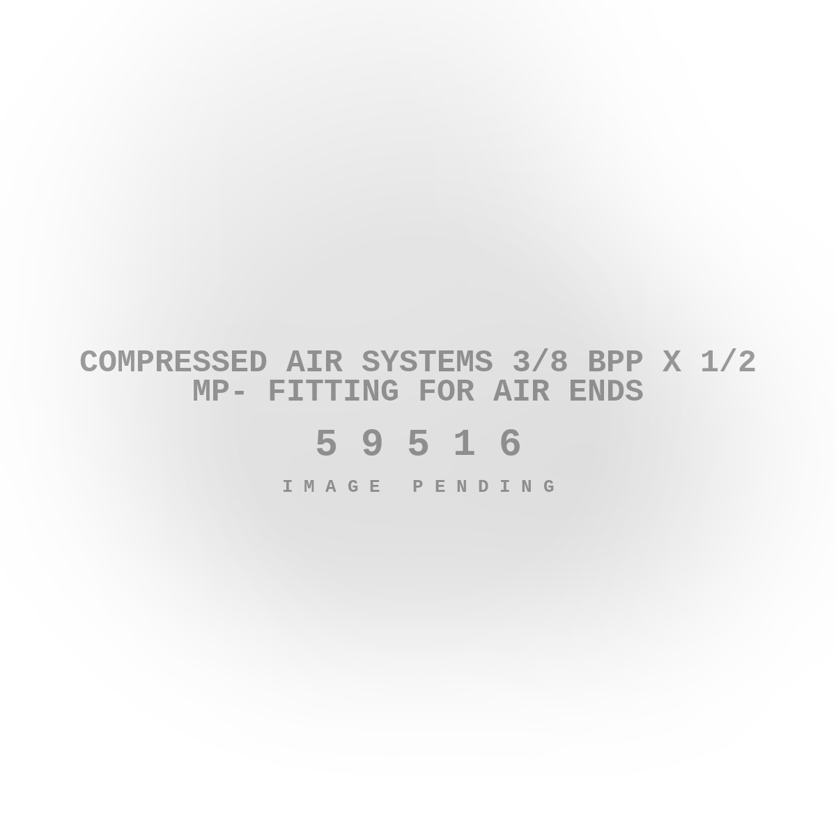Compressed Air Systems 3/8 Bpp X 1/2 Mp- Fitting For Air Ends