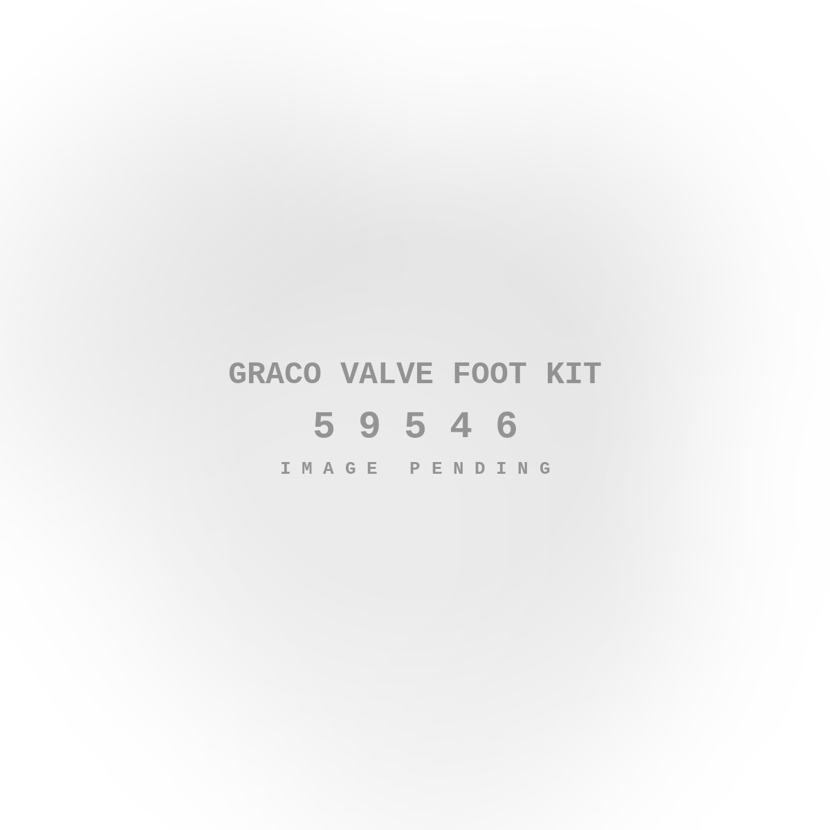 Graco Valve Foot Kit