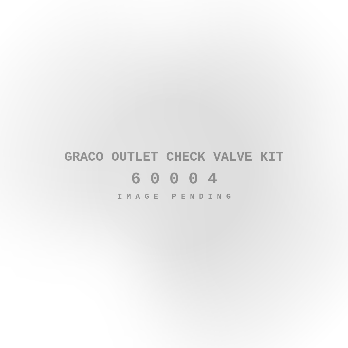 Graco Outlet Check Valve Kit