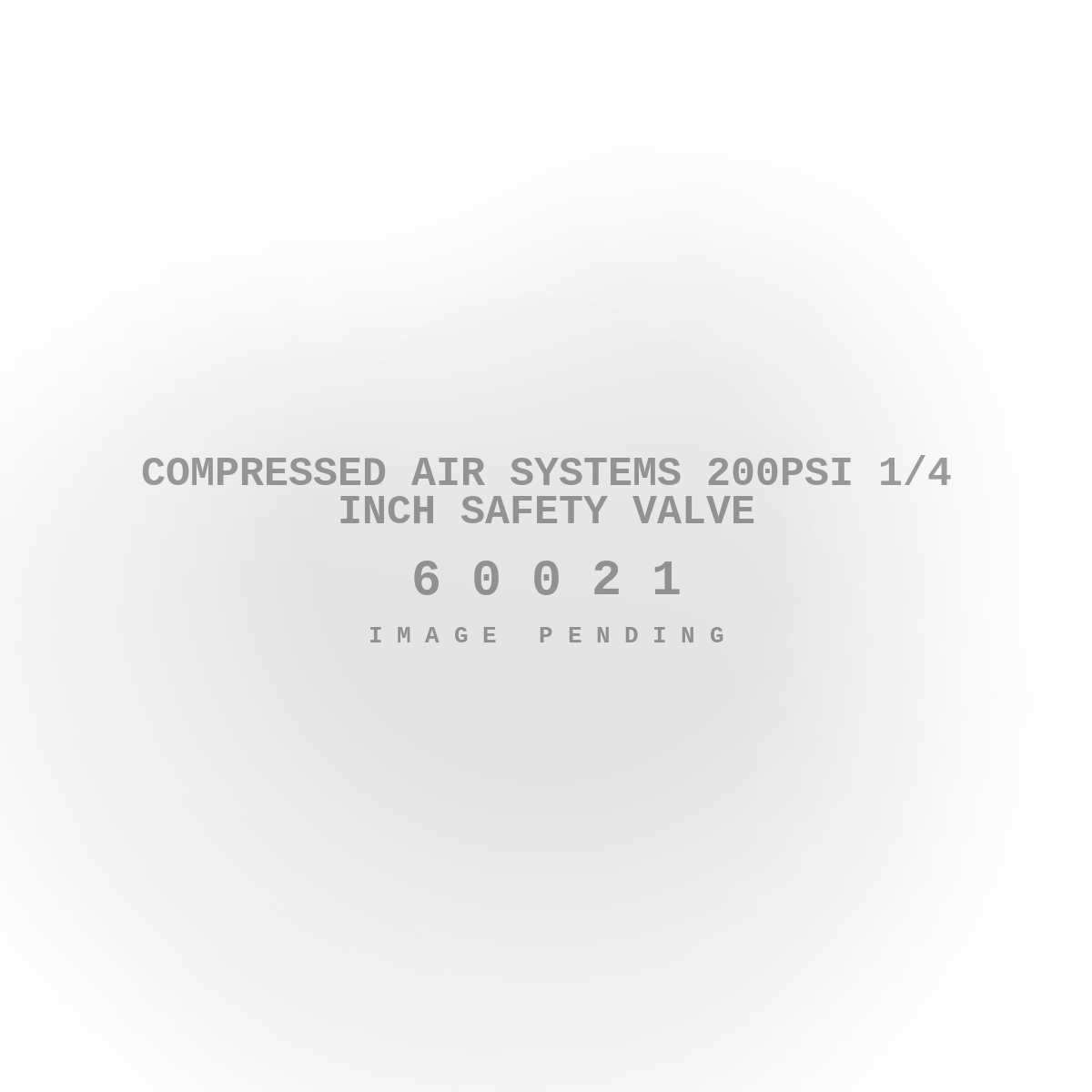 Compressed Air Systems 200PSI 1/4 Inch Safety Valve
