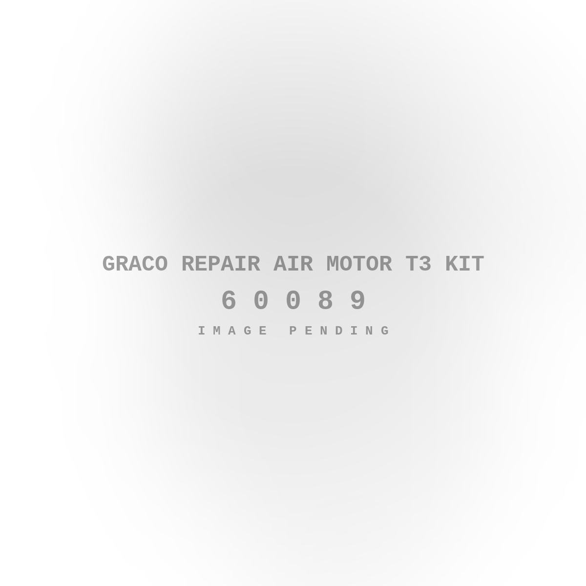 Graco Repair Air Motor T3 Kit