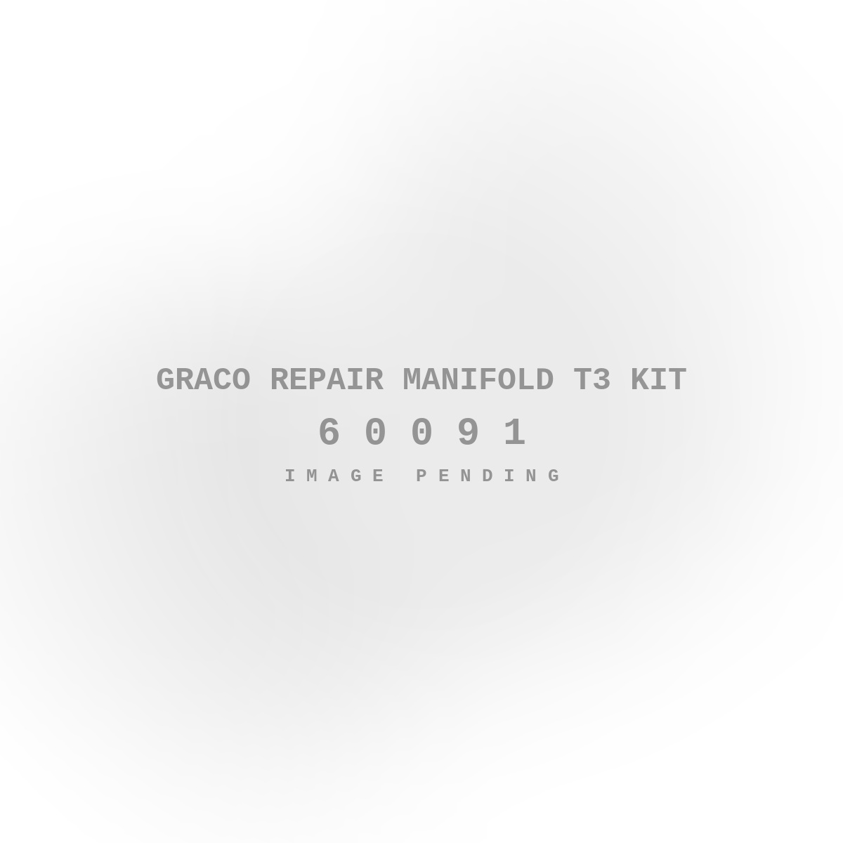 Graco Repair Manifold T3 Kit