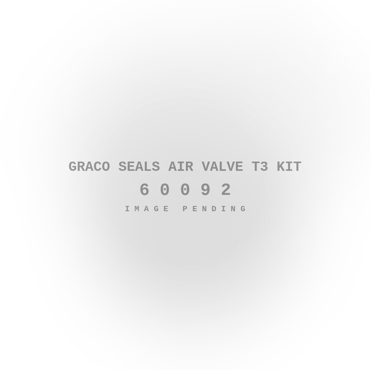 Graco Seals Air Valve T3 Kit