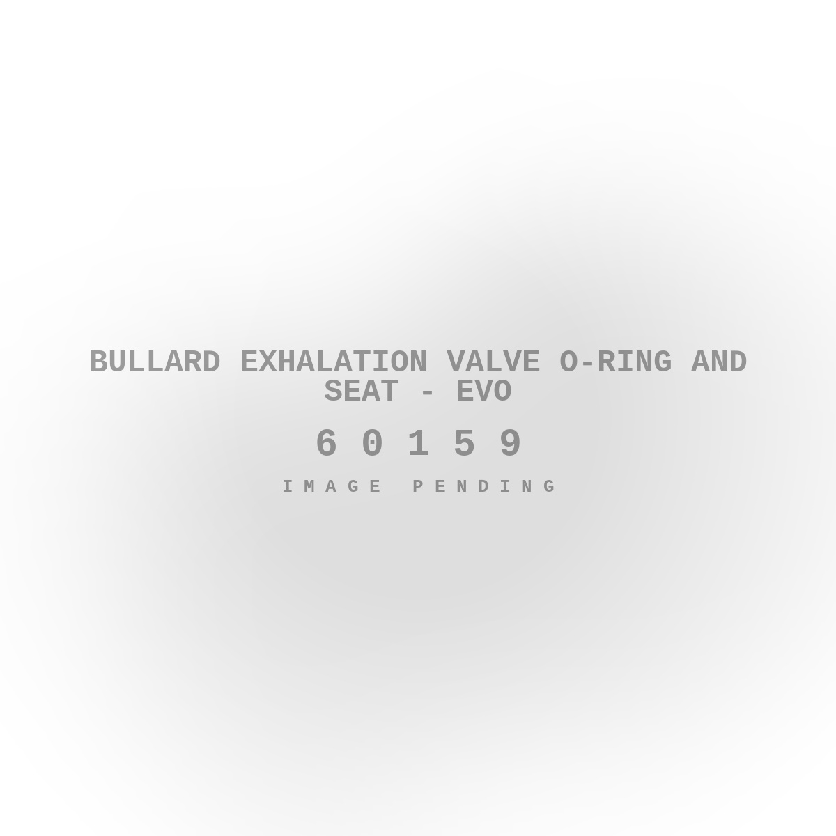 Bullard Exhalation Valve O-Ring and Seat - Evo