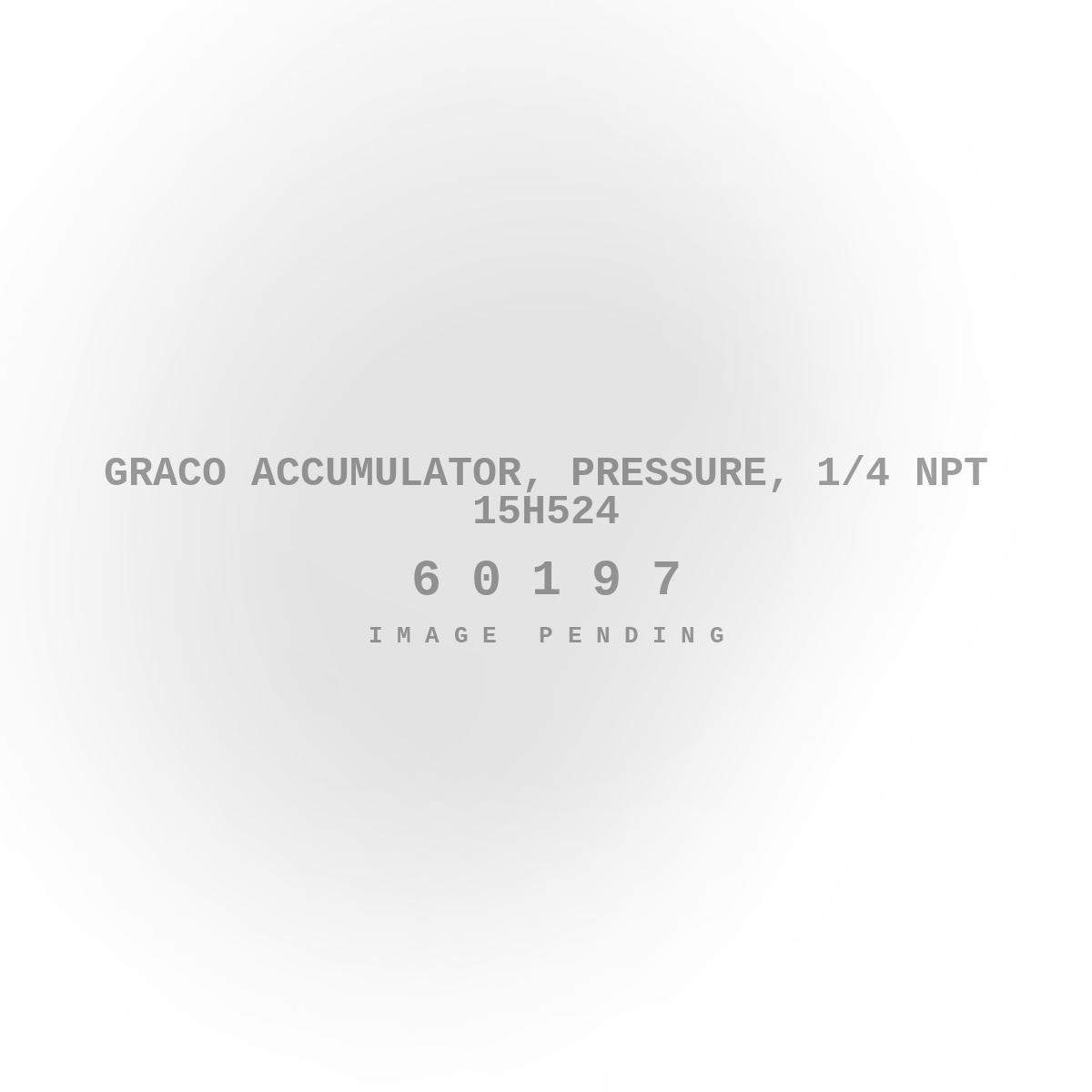 Graco Accumulator, Pressure, 1/4 NPT 15H524