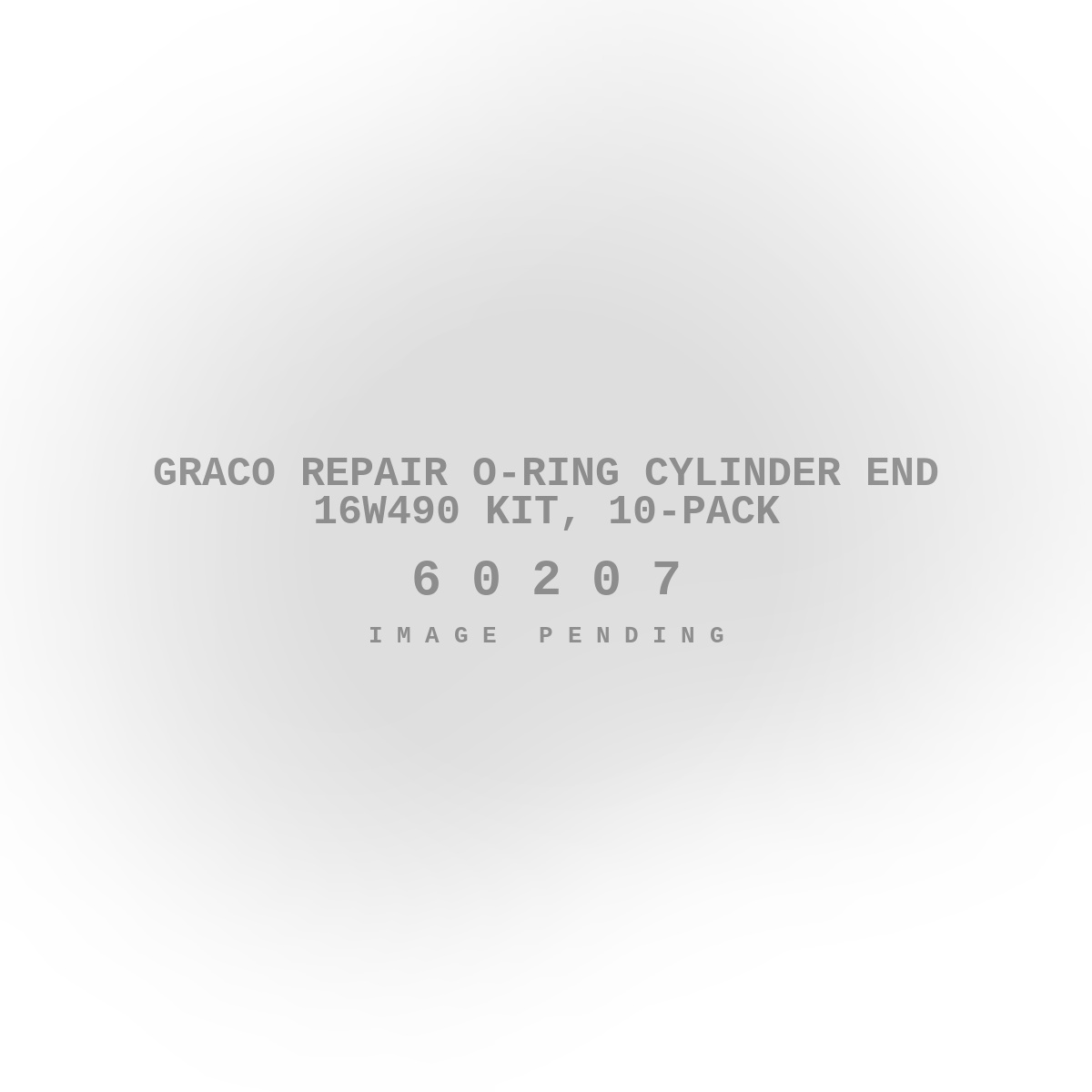 Graco Repair O-Ring Cylinder End 16W490 Kit, 10-Pack