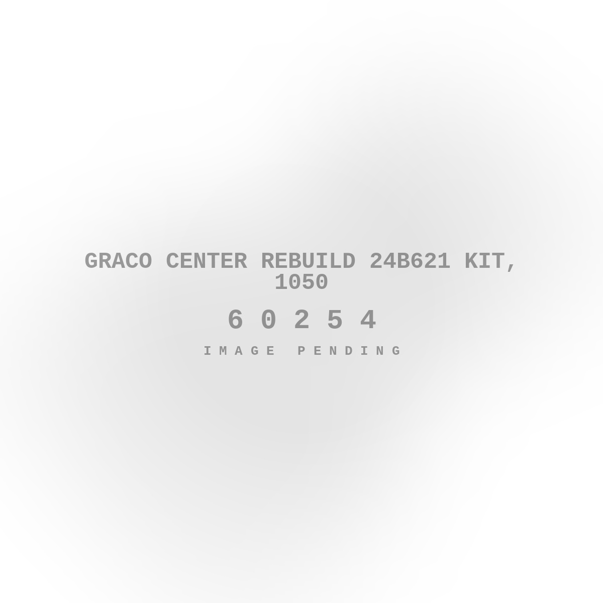 Graco Center Rebuild 24B621 Kit, 1050