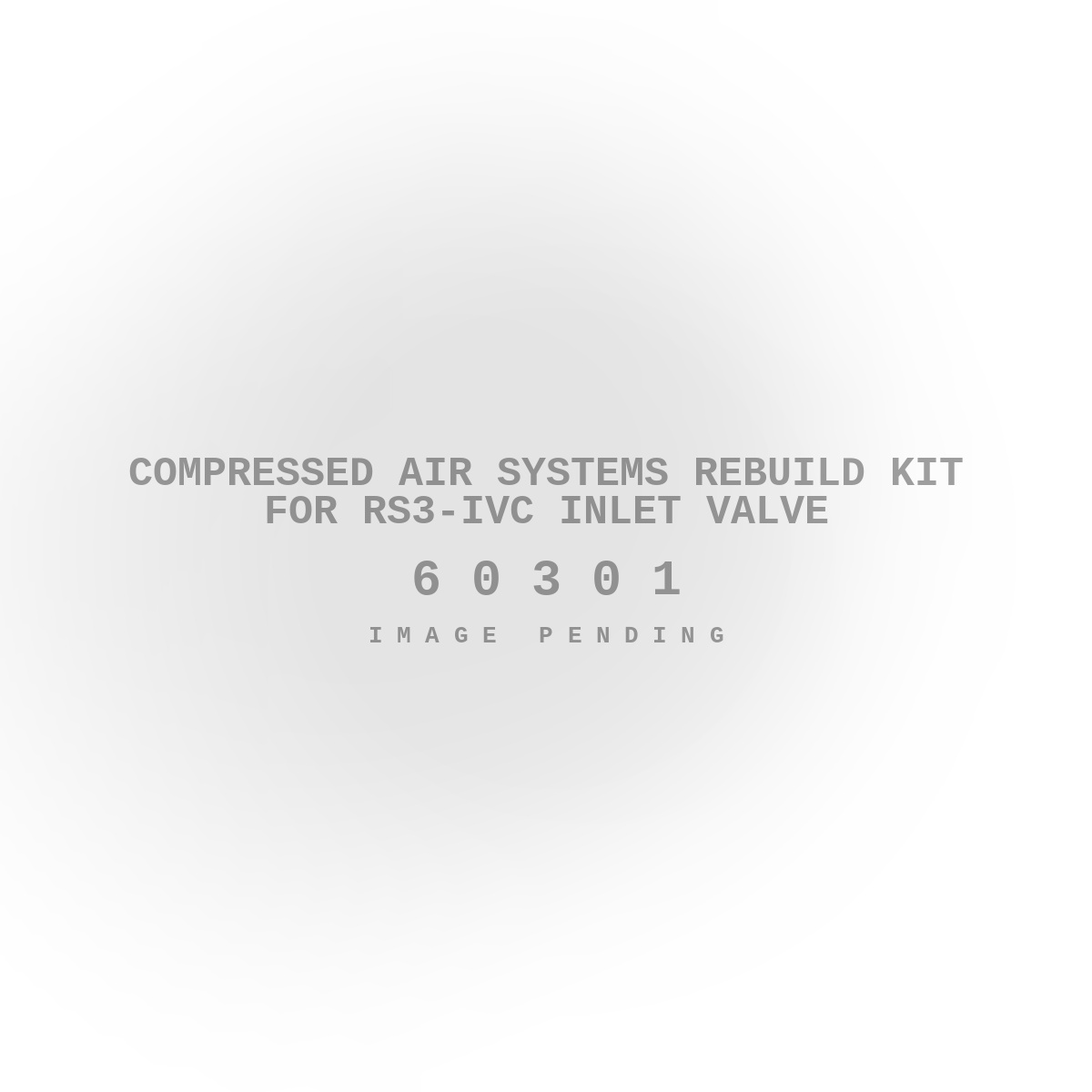 Compressed Air Systems Rebuild Kit for RS3-IVC Inlet Valve