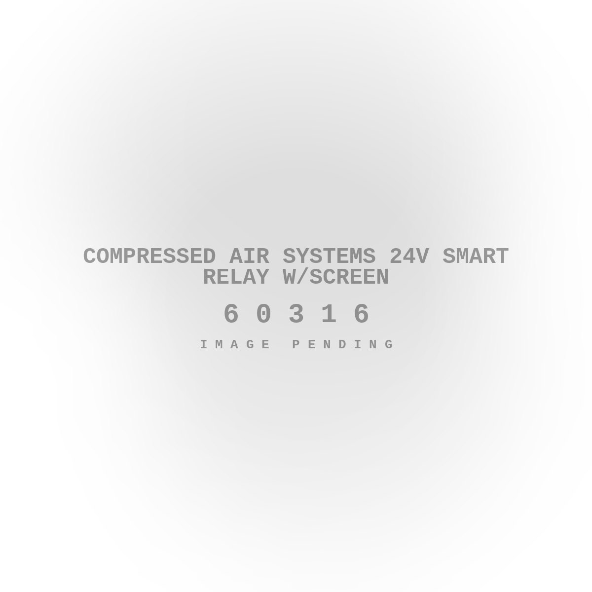 Compressed Air Systems 24v Smart Relay w/Screen