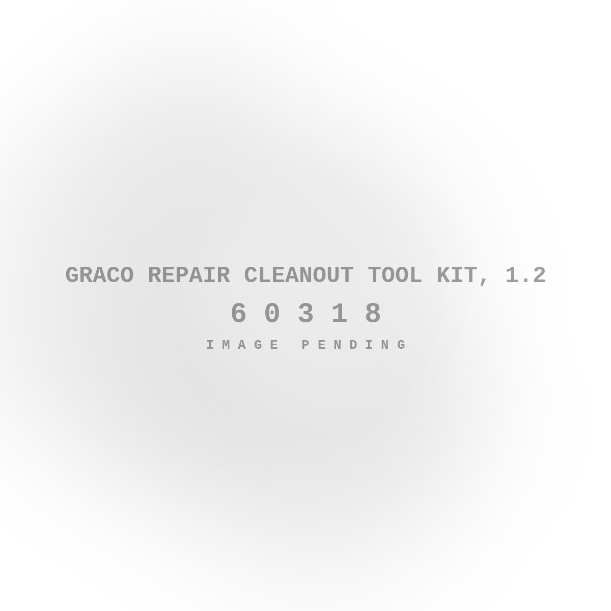 Graco Repair Cleanout Tool Kit, 1.2
