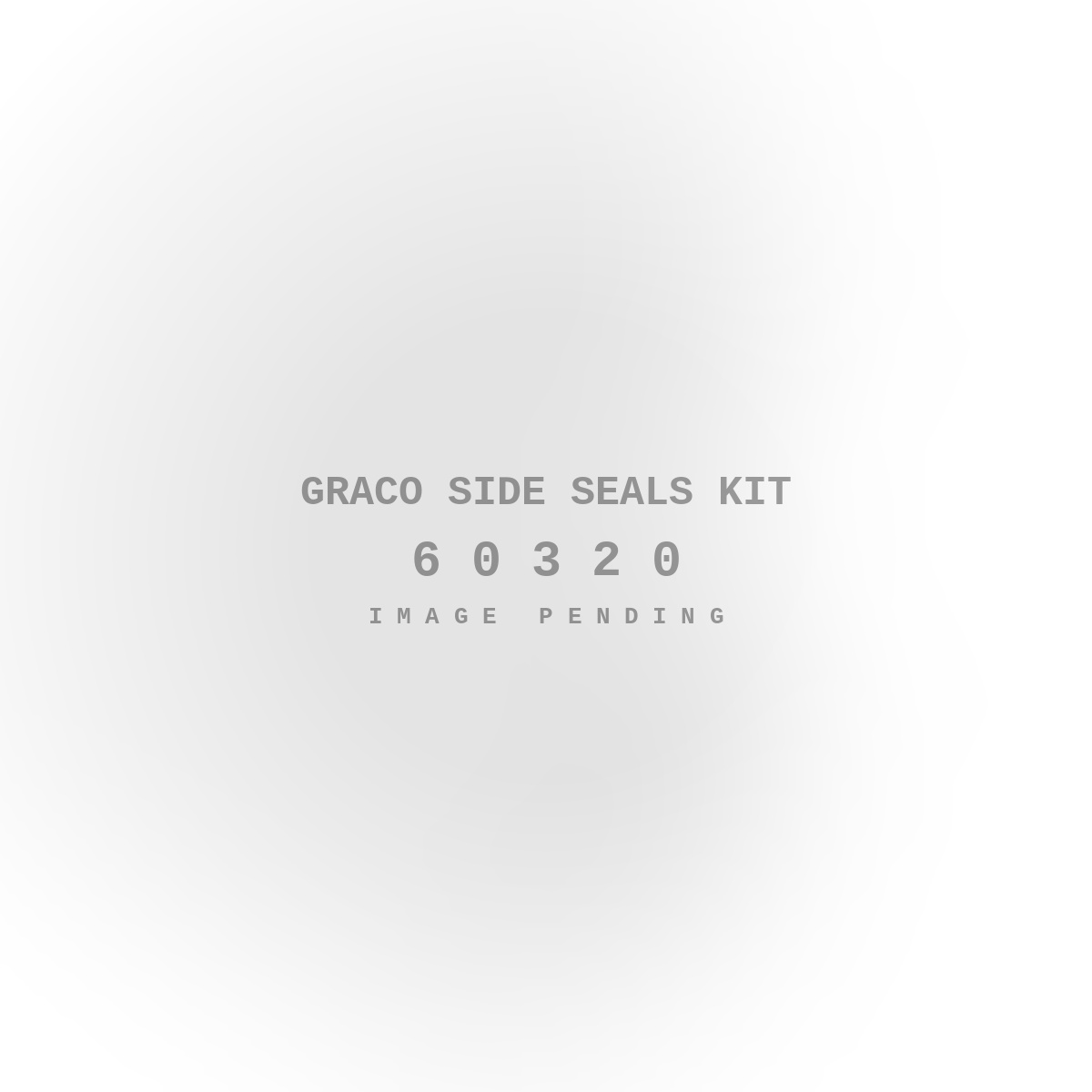 Graco Side Seals Kit