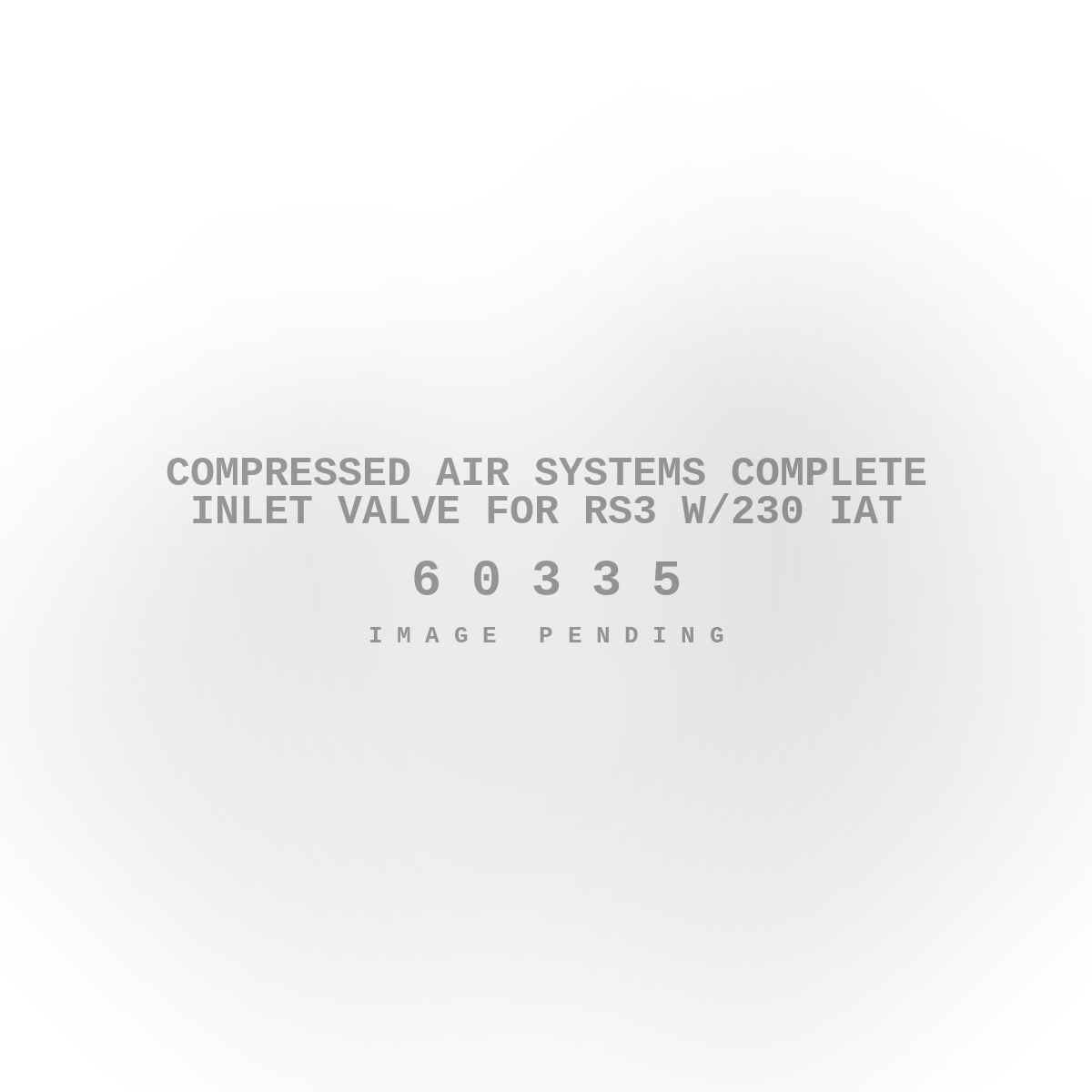 Compressed Air Systems Complete Inlet Valve for RS3 w/230 IAT
