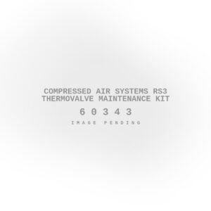 Compressed Air Systems RS3 Thermovalve Maintenance Kit