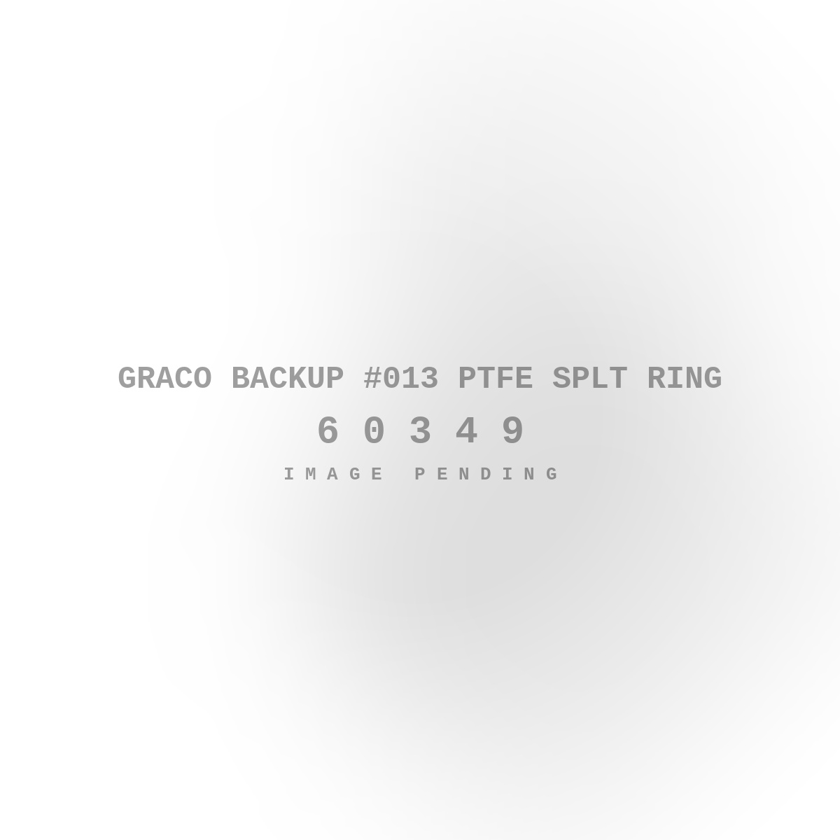 Graco Backup #013 PTFE Splt Ring