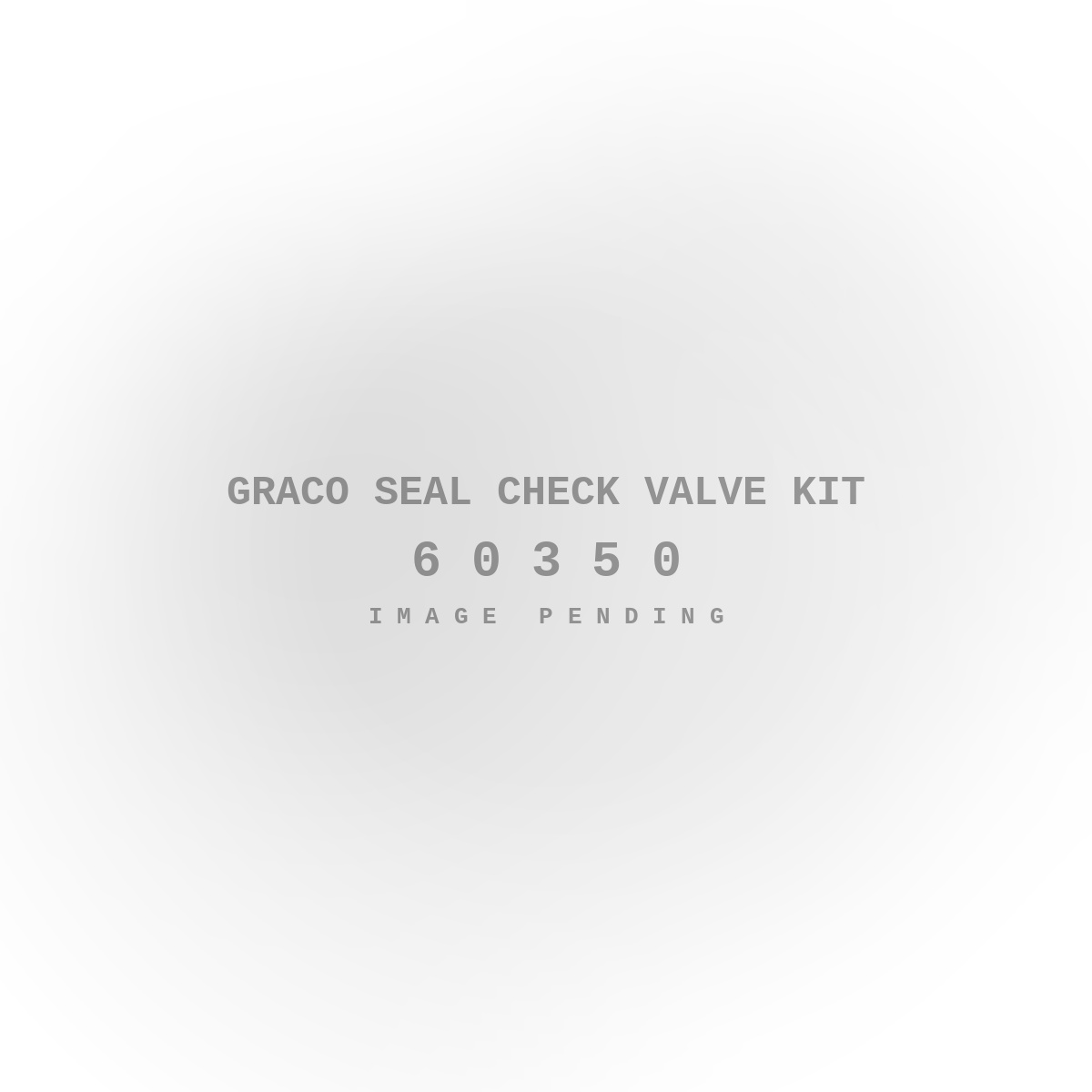 Graco Seal Check Valve Kit