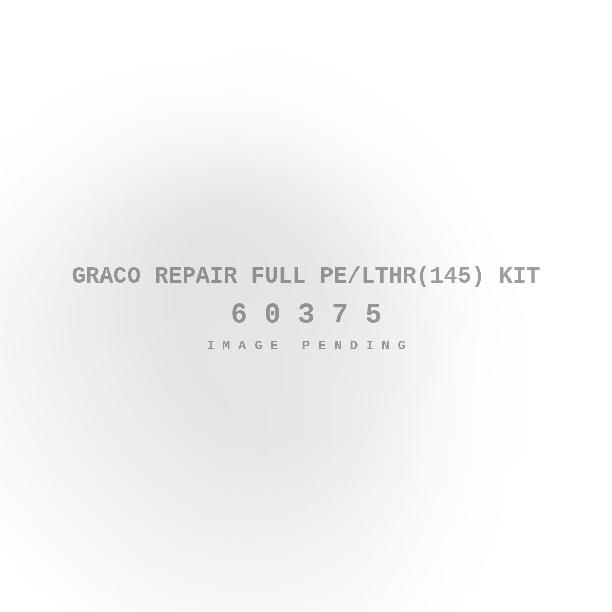 Graco Repair Full PE/Lthr(145) Kit