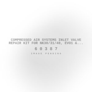 Compressed Air Systems Inlet Valve Repair Kit for NK30/31/40, EVO1 & EVO2