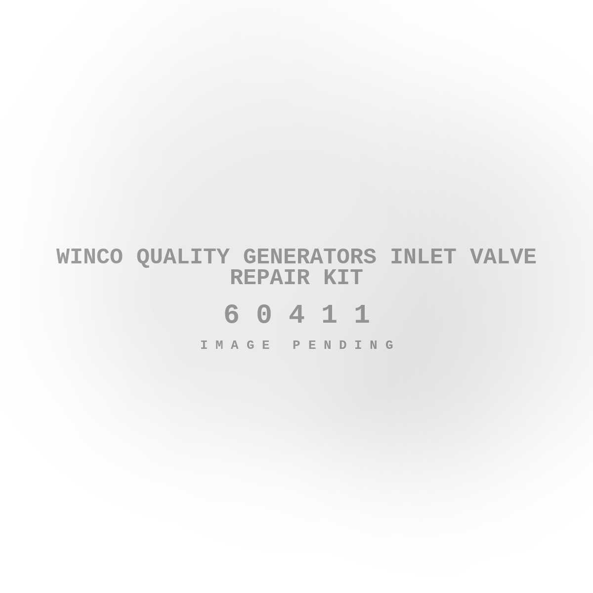 Winco Quality Generators Inlet Valve Repair Kit