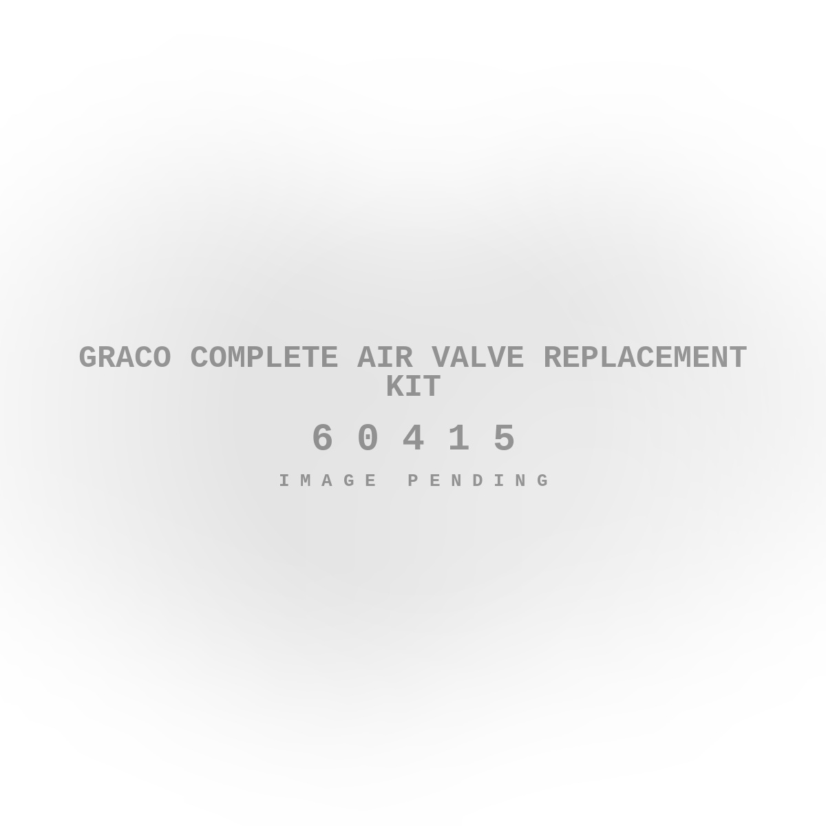 Graco Complete Air Valve Replacement Kit