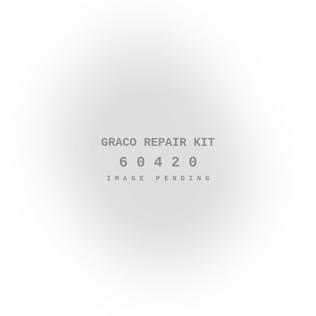 Graco Repair Kit