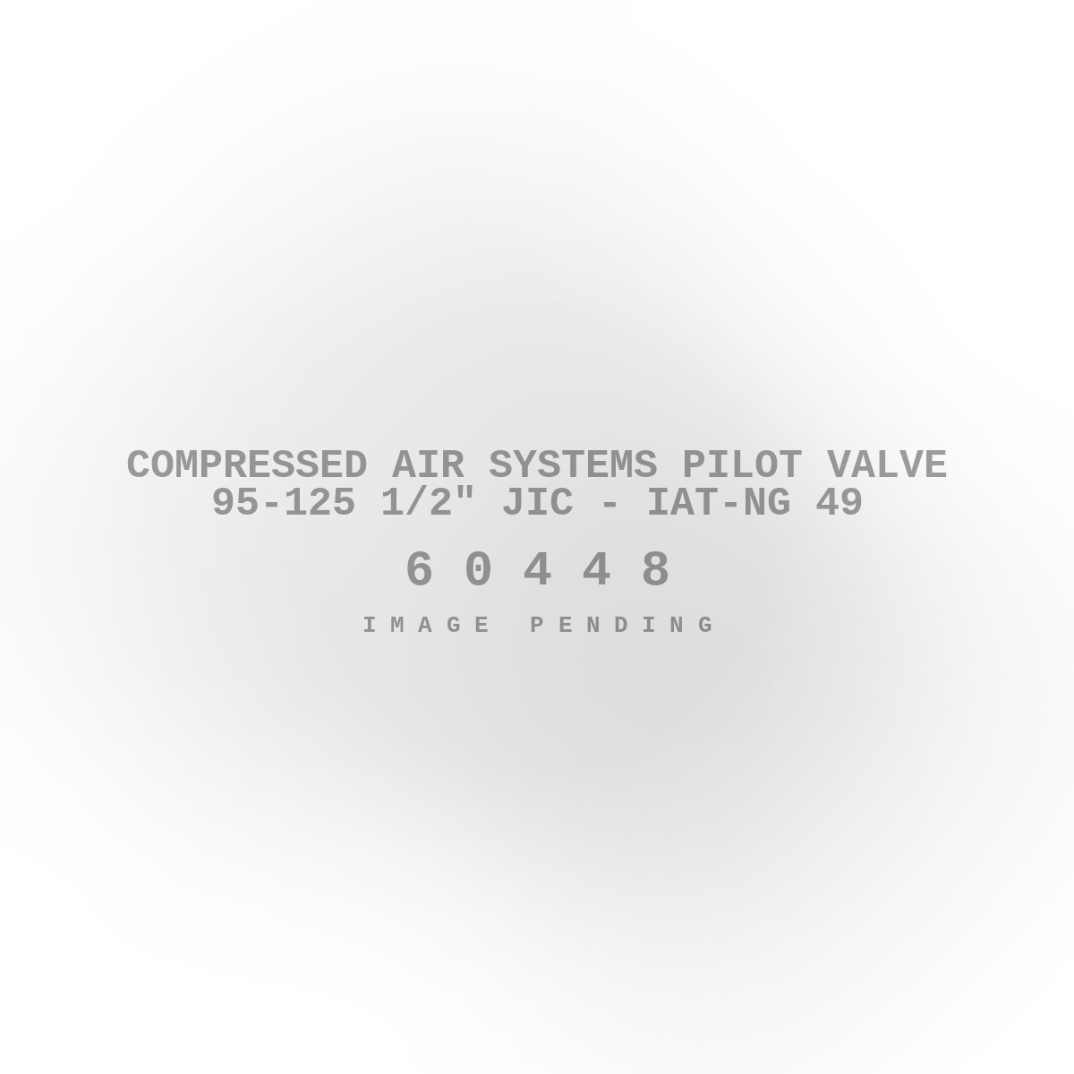 Compressed Air Systems Pilot Valve 95-125 1/2" JIC - Iat-Ng 49