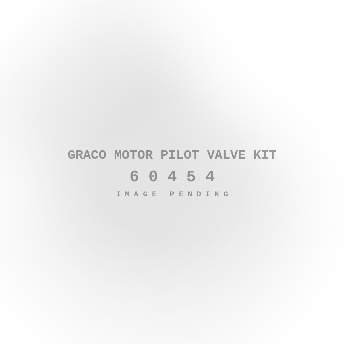 Graco Motor Pilot Valve Kit