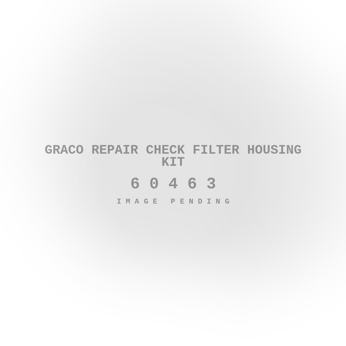 Graco Repair Check Filter Housing Kit