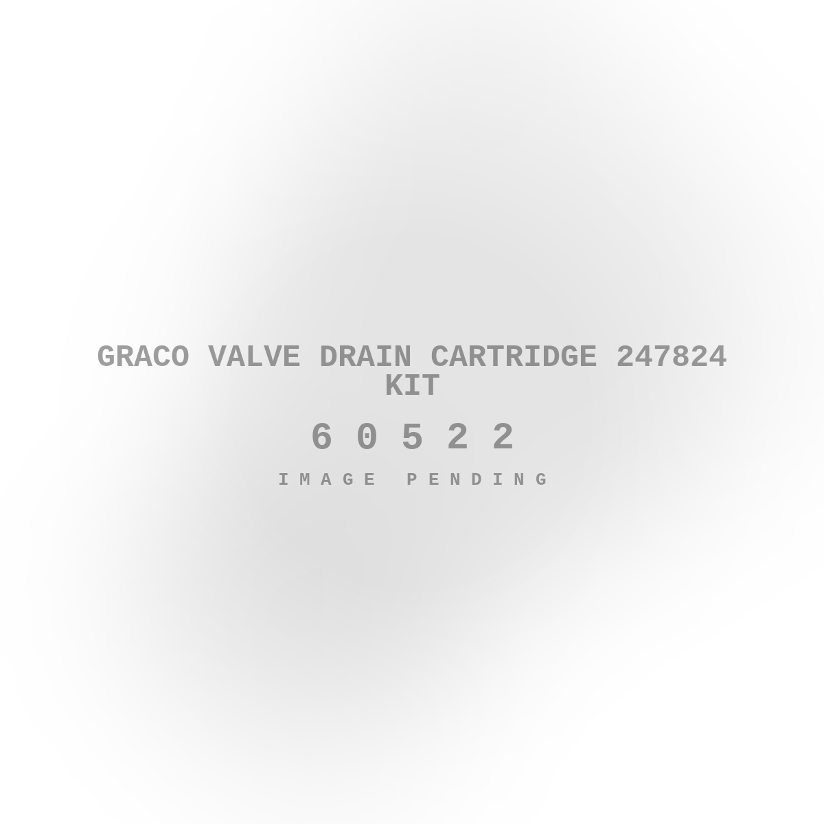 Graco Valve Drain Cartridge 247824 Kit