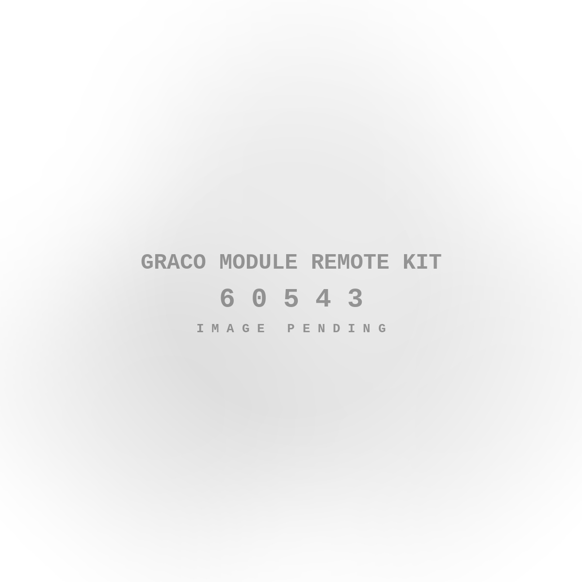 Graco Module Remote Kit