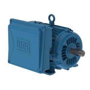 Electric Motors