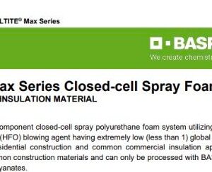 Basf Walltite Max