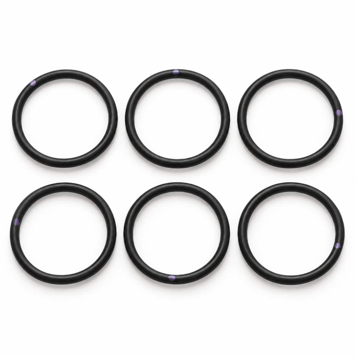 Six black O-rings for pump maintenance and repair.