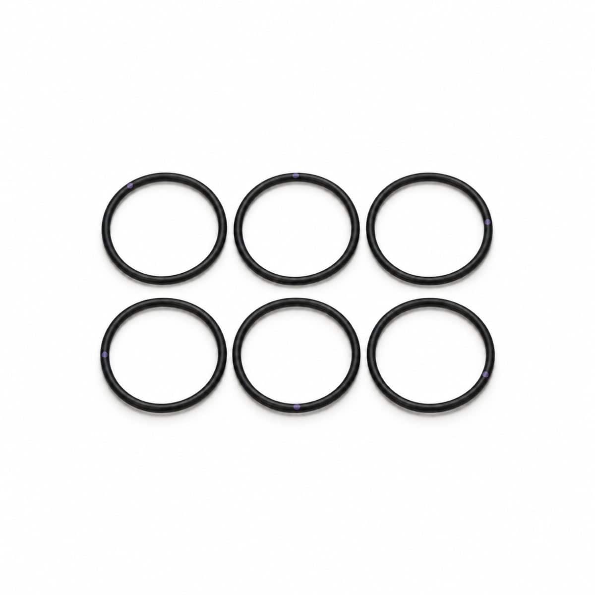 Six black O-rings for pump maintenance and repair.